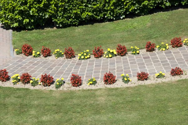 Cost of Garden Paving in Dublin